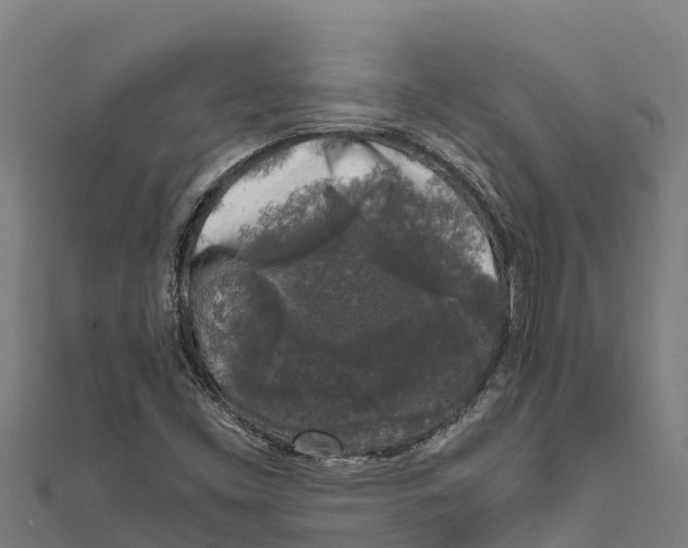 X0000111601453200908131352