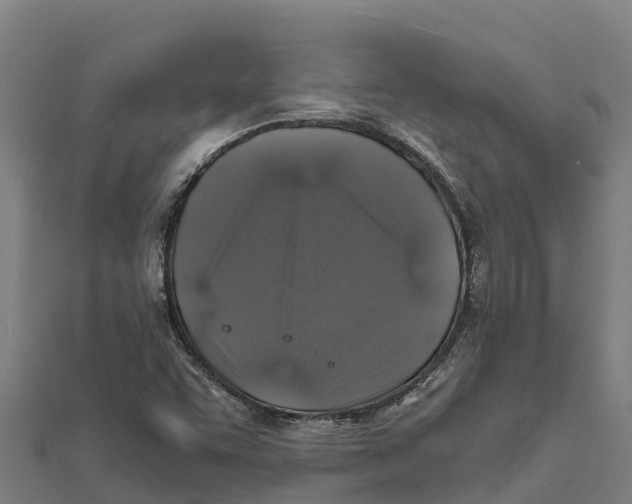 X0000111601455200908131352