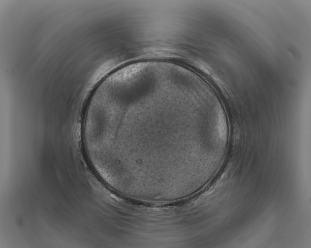 X0000111601459200908131352