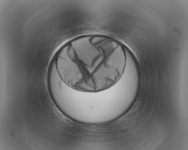 X0000111601460200908131352