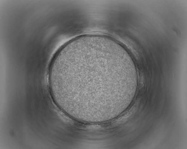 X0000111601462200908131352