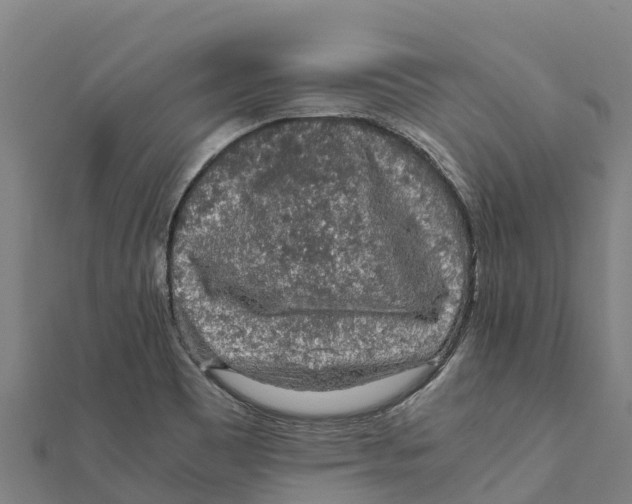 X0000111601465200908131352