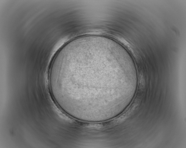 X0000111601466200908131352
