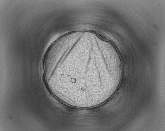 X0000111601467200908131352