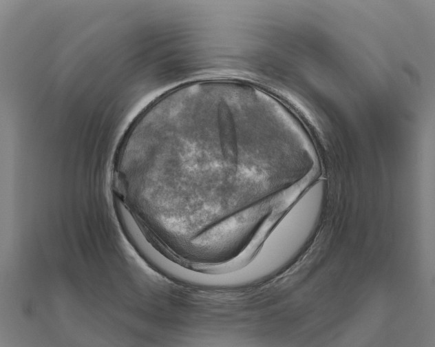 X0000111601468200908131352