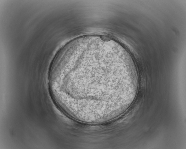 X0000111601471200908131352