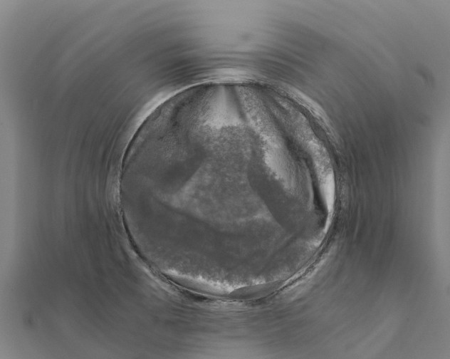 X0000111601473200908131352