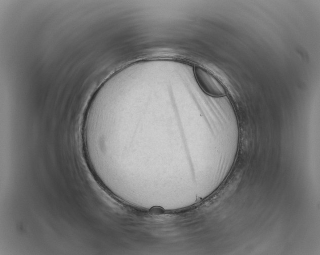 X0000111601475200908131352