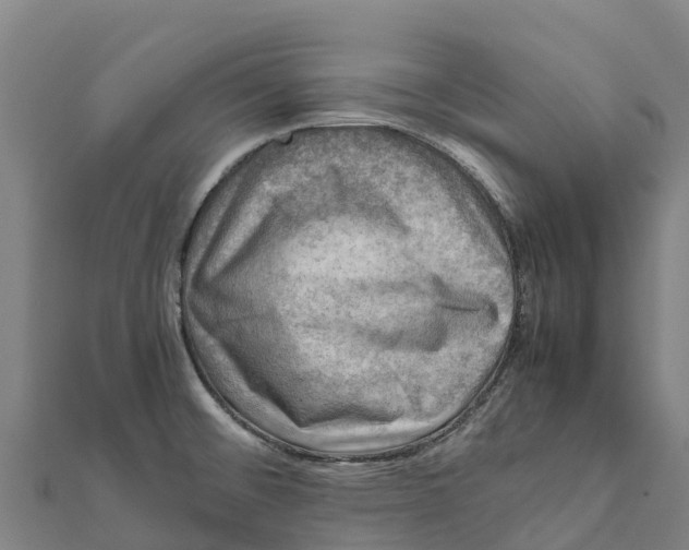 X0000111601476200908131352