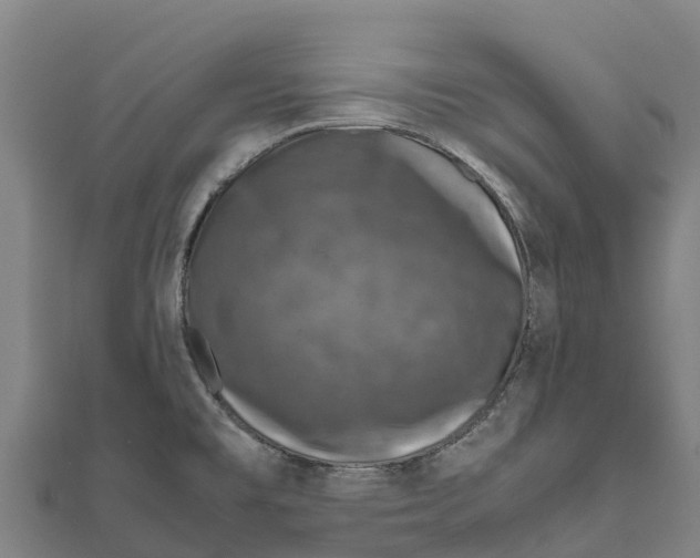 X0000111601477200908131352