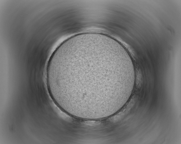 X0000111601478200908131352