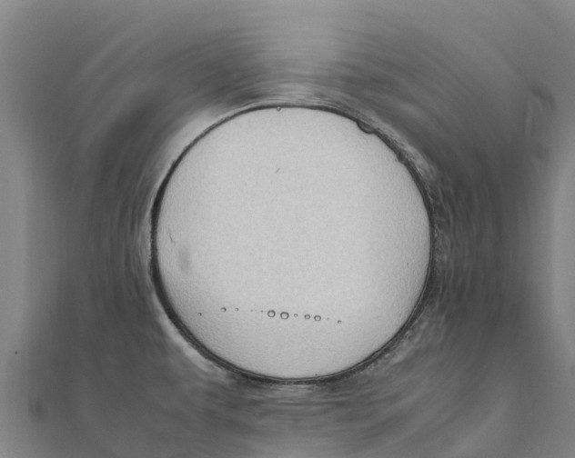 X0000111601479200908131352