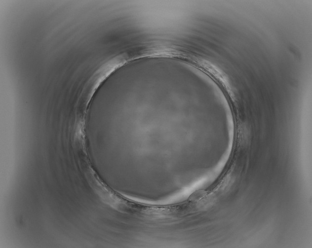 X0000111601481200908131352