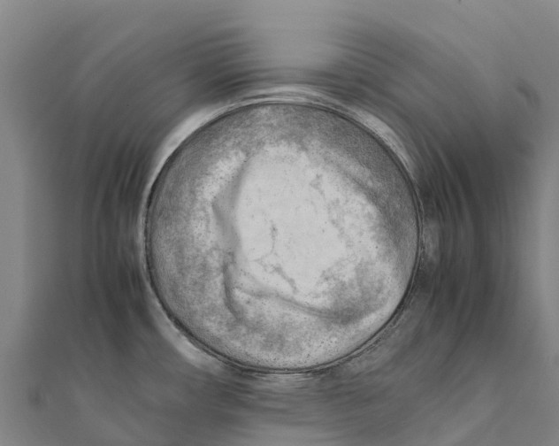 X0000111601482200908131352