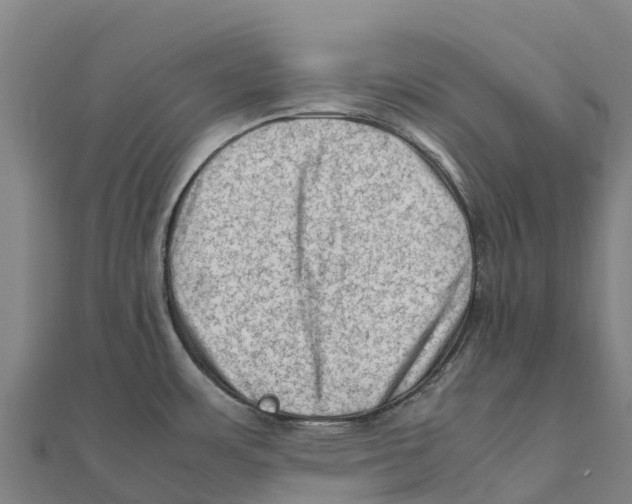 X0000111601483200908131352