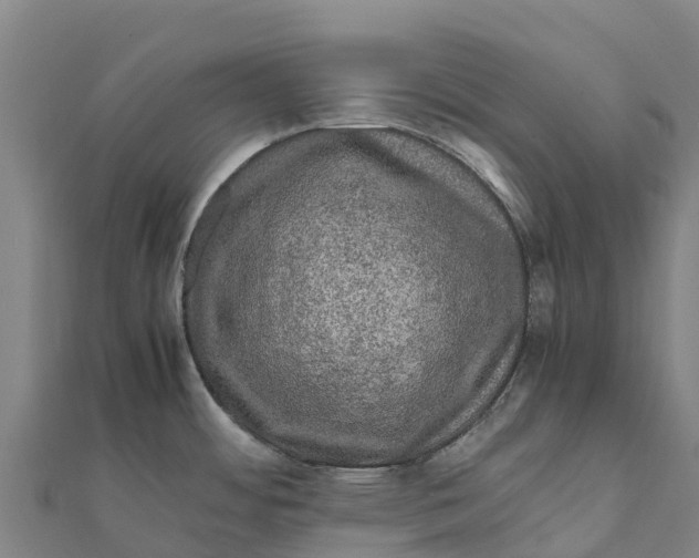 X0000111601484200908131352