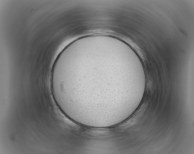 X0000111601486200908131352