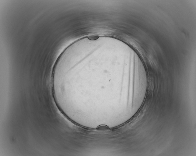 X0000111601487200908131352