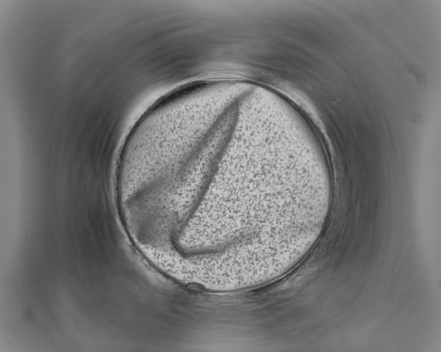 X0000111601488200908131352