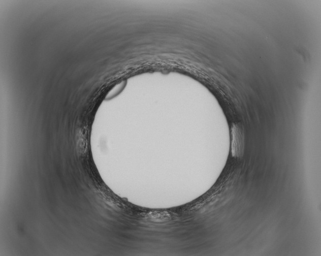 X0000111601491200908131351