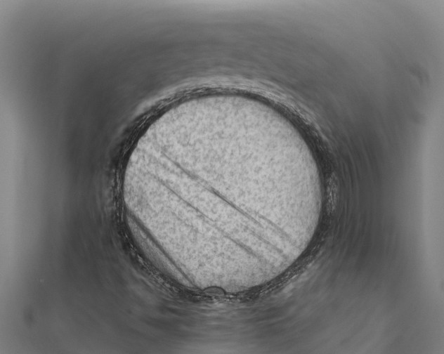 X0000111601494200908131351