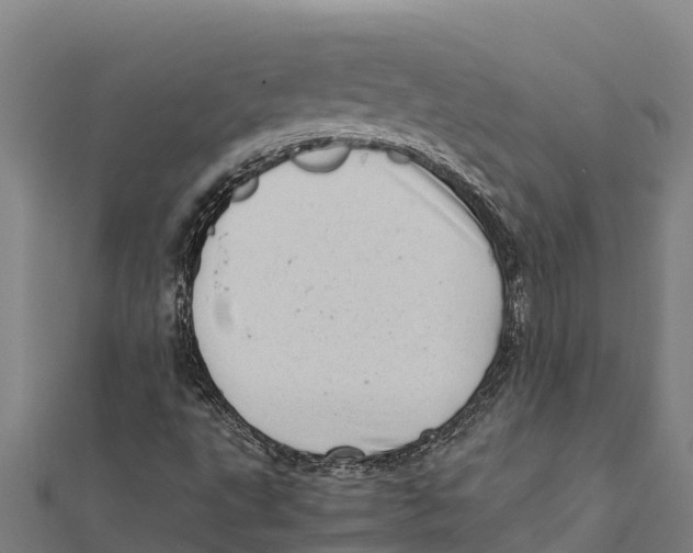 X0000111601495200908131351