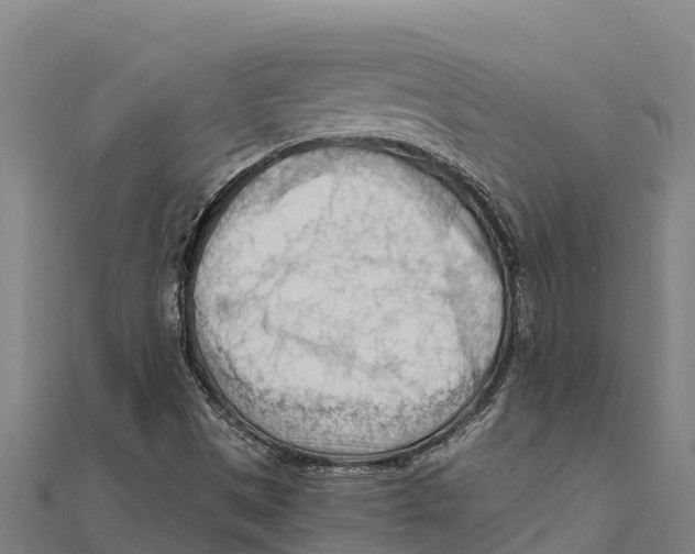 X0000111601497200908131351