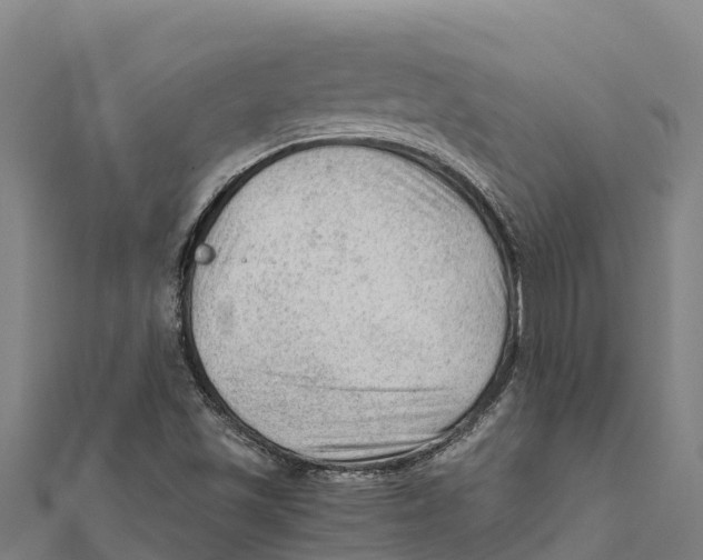 X0000111601501200908131351