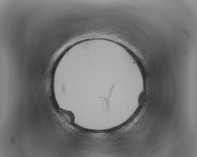 X0000111601502200908131351