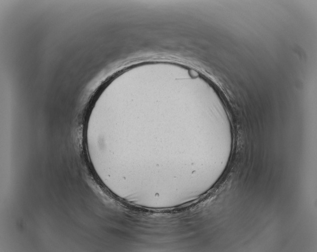 X0000111601503200908131351