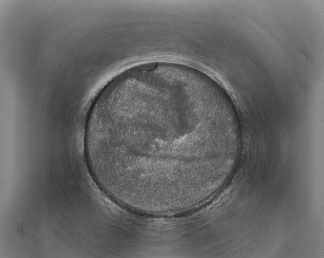 X0000111601504200908131351