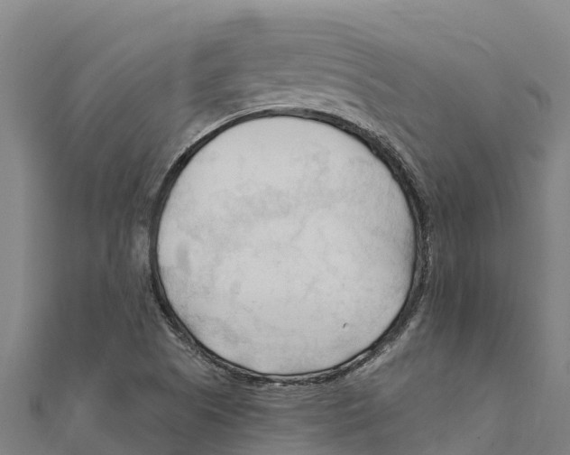 X0000111601505200908131351