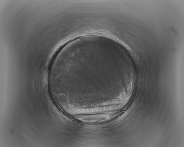 X0000111601506200908131351