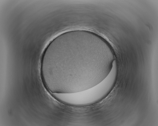X0000111601508200908131351