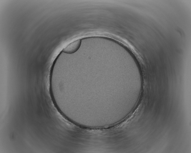 X0000111601512200908131351