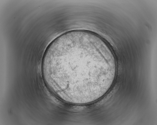 X0000111601513200908131351