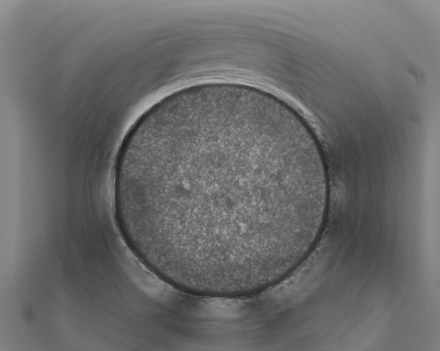 X0000111601514200908131351