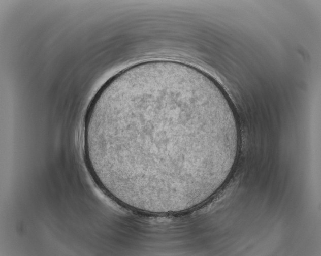 X0000111601515200908131351