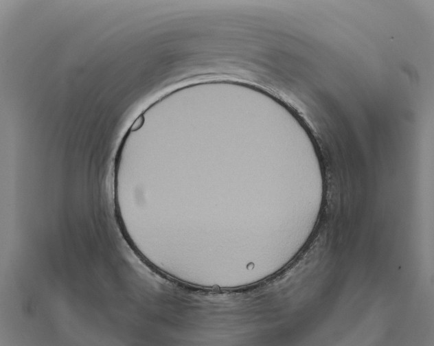 X0000111601516200908131351