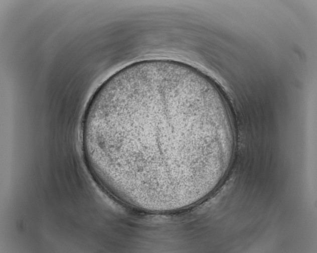 X0000111601517200908131351