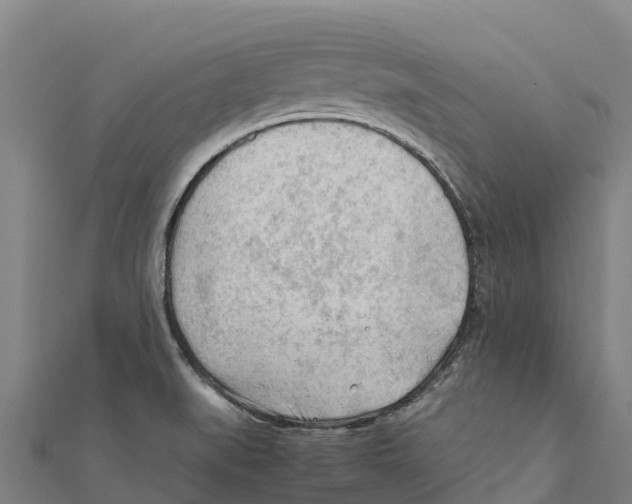 X0000111601519200908131352