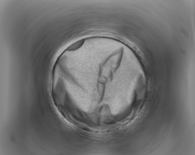 X0000111601520200908131352