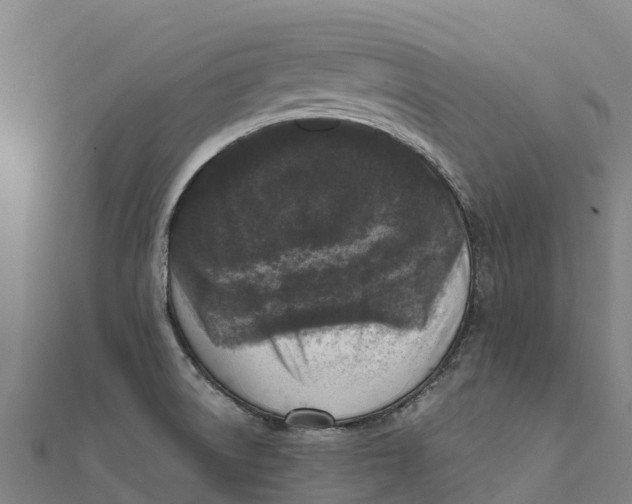X0000111601522200908131352