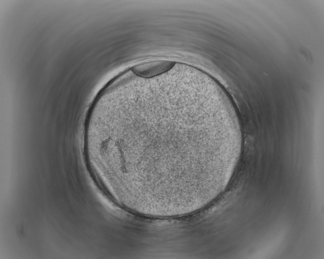 X0000111601523200908131352