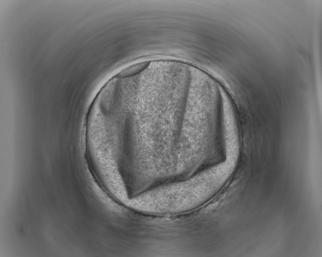X0000111601524200908131352