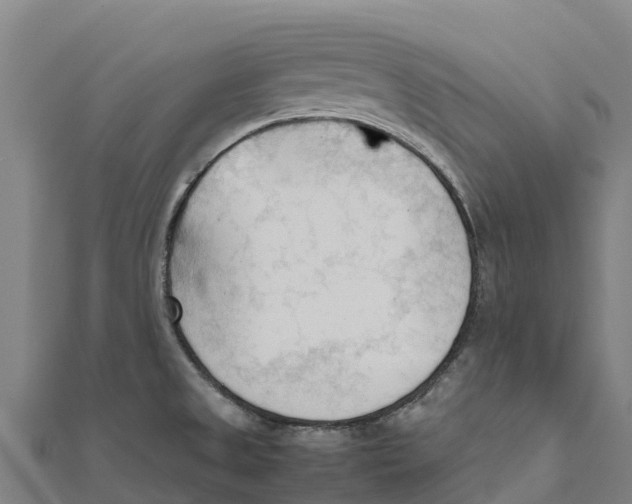 X0000111601525200908131352
