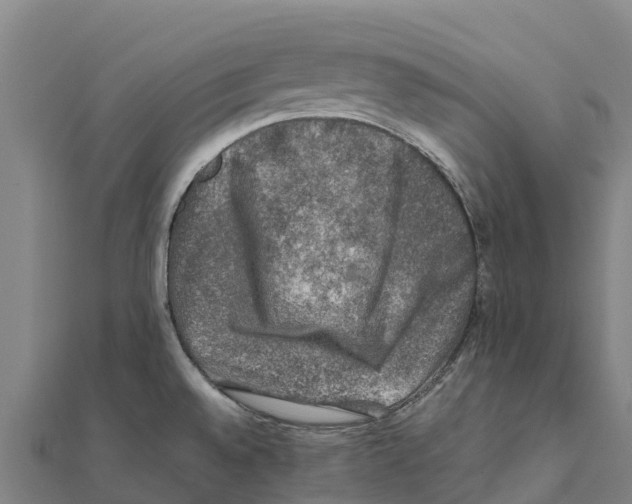 X0000111601528200908131352
