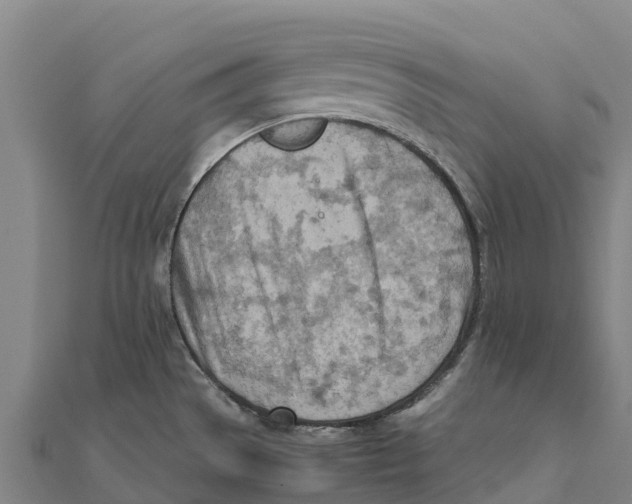 X0000111601529200908131352