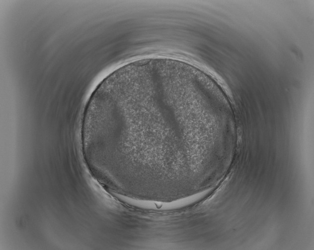 X0000111601530200908131352