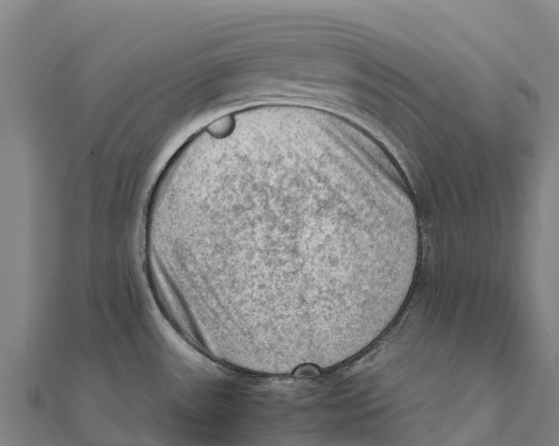 X0000111601531200908131352